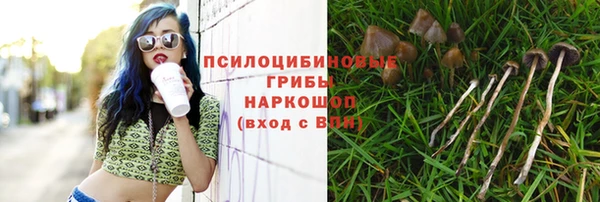 таблы Покров