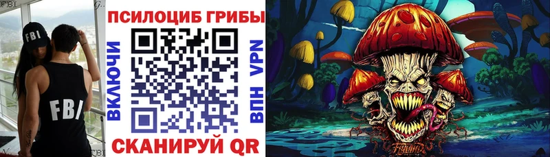 наркошоп  Переславль-Залесский  мега ТОР  Псилоцибиновые грибы Magic Shrooms 