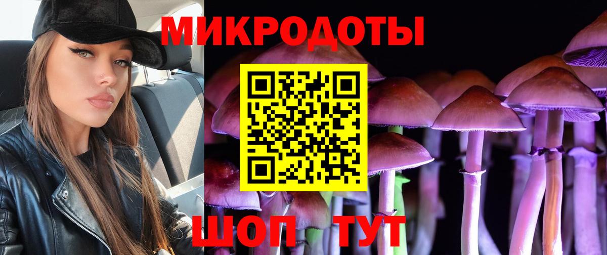 Переславль-Залесский  Псилоцибиновые грибы мицелий  Вход с VPN 